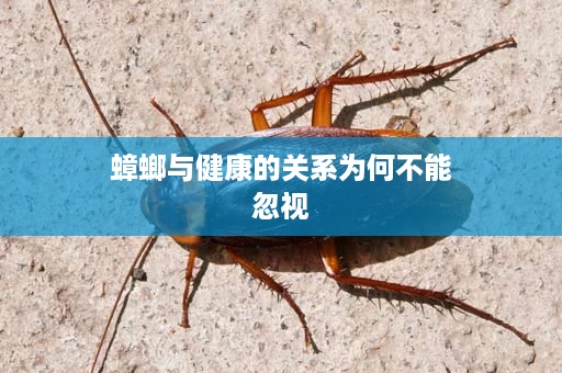 蟑螂与健康的关系为何不能忽视