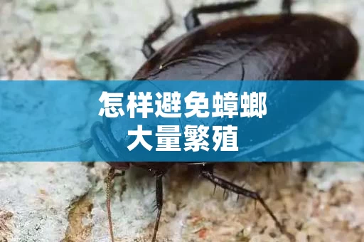 怎样避免蟑螂大量繁殖