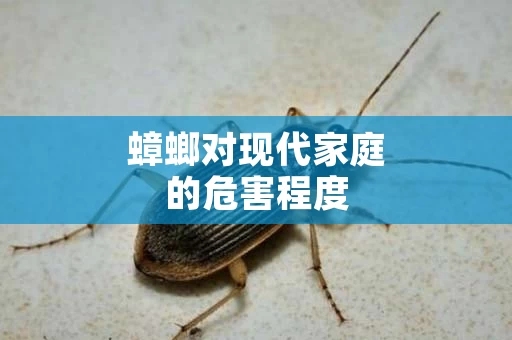 蟑螂对现代家庭的危害程度