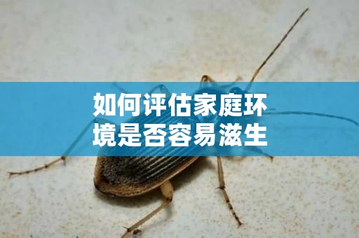 如何评估家庭环境是否容易滋生蟑螂