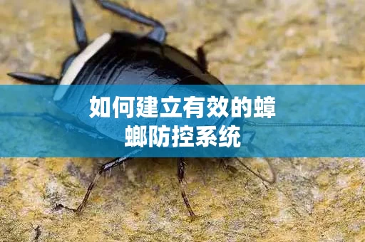 如何建立有效的蟑螂防控系统