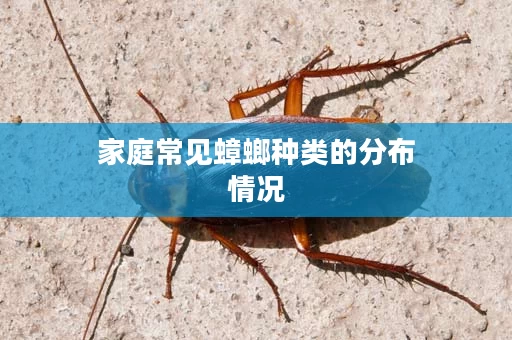 家庭常见蟑螂种类的分布情况