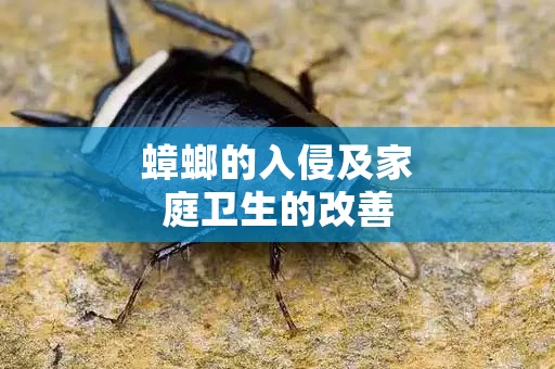 蟑螂的入侵及家庭卫生的改善