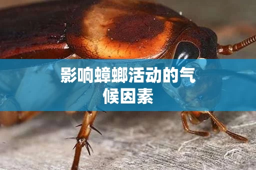 影响蟑螂活动的气候因素