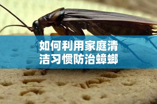如何利用家庭清洁习惯防治蟑螂