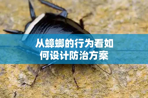 从蟑螂的行为看如何设计防治方案