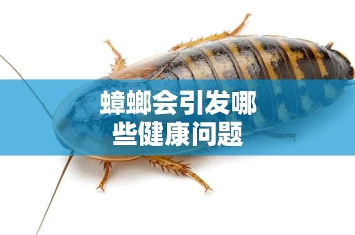 蟑螂会引发哪些健康问题