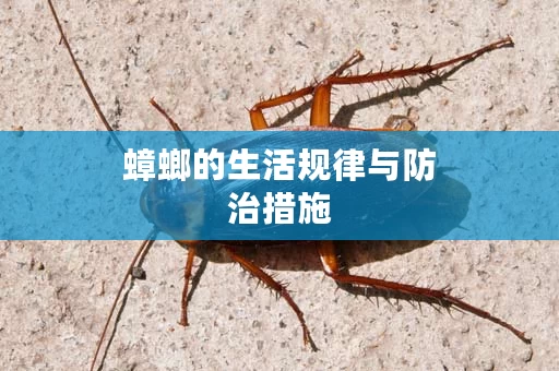 蟑螂的生活规律与防治措施