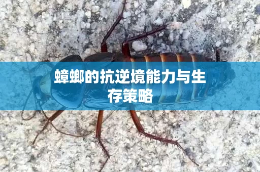 蟑螂的抗逆境能力与生存策略