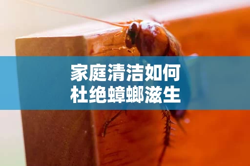 家庭清洁如何杜绝蟑螂滋生