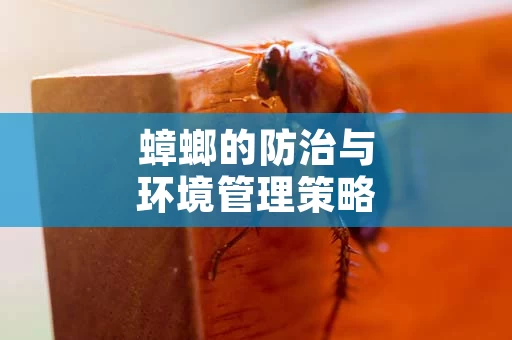 蟑螂的防治与环境管理策略