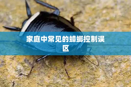 家庭中常见的蟑螂控制误区