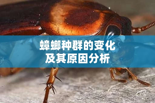 蟑螂种群的变化及其原因分析