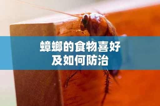 蟑螂的食物喜好及如何防治