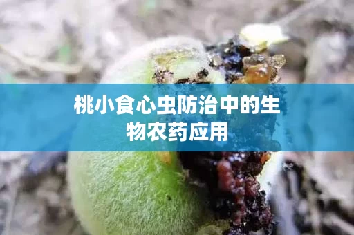 桃小食心虫防治中的生物农药应用