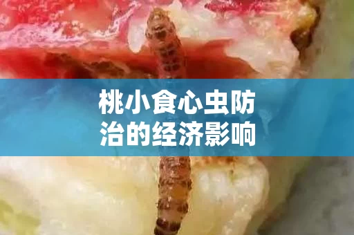 桃小食心虫防治的经济影响及优化方案