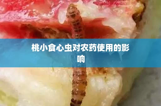 桃小食心虫对农药使用的影响