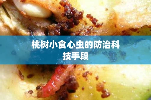 桃树小食心虫的防治科技手段