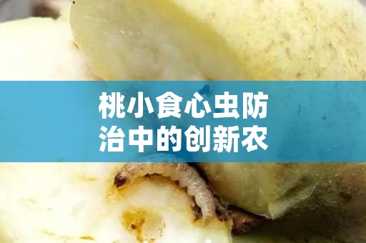 桃小食心虫防治中的创新农业技术