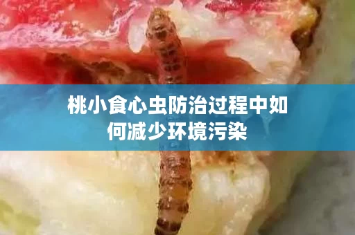 桃小食心虫防治过程中如何减少环境污染