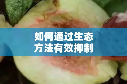 如何通过生态方法有效抑制桃小食心虫