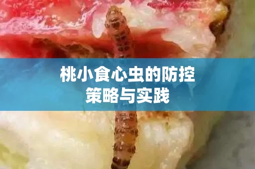 桃小食心虫的防控策略与实践