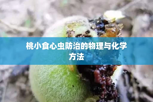 桃小食心虫防治的物理与化学方法