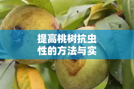 提高桃树抗虫性的方法与实践