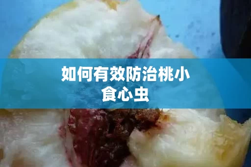 如何有效防治桃小食心虫