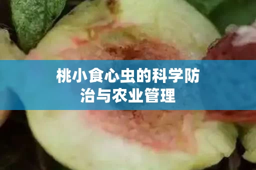 桃小食心虫的科学防治与农业管理