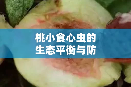 桃小食心虫的生态平衡与防控策略