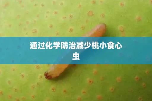 通过化学防治减少桃小食心虫