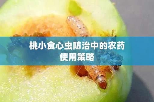 桃小食心虫防治中的农药使用策略
