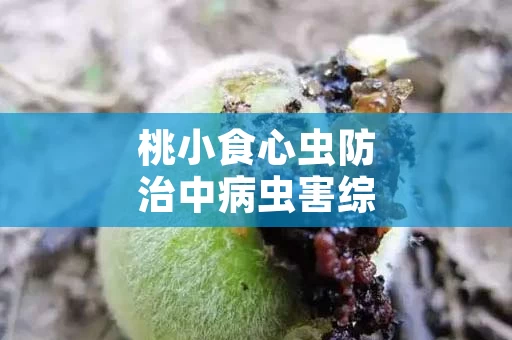 桃小食心虫防治中病虫害综合治理的重要性