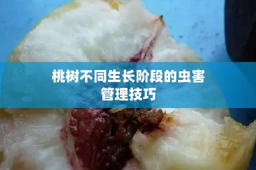 桃树不同生长阶段的虫害管理技巧