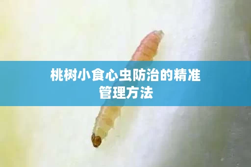 桃树小食心虫防治的精准管理方法