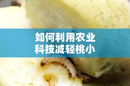 如何利用农业科技减轻桃小食心虫的危害