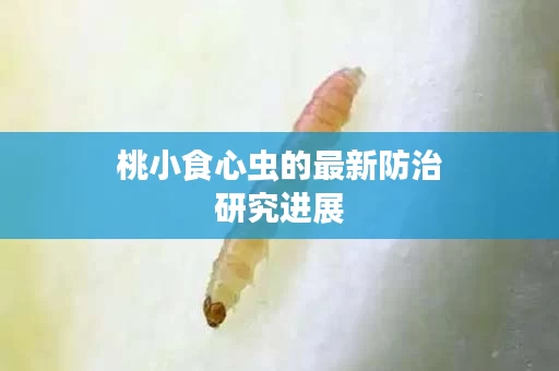桃小食心虫的最新防治研究进展