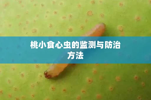 桃小食心虫的监测与防治方法