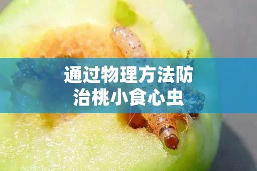 通过物理方法防治桃小食心虫