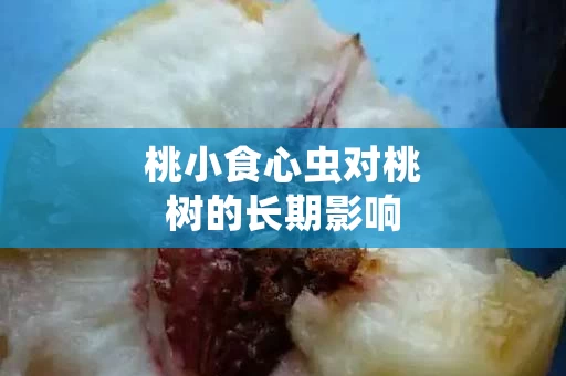桃小食心虫对桃树的长期影响