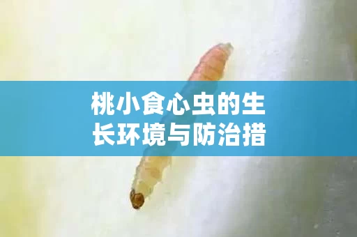 桃小食心虫的生长环境与防治措施