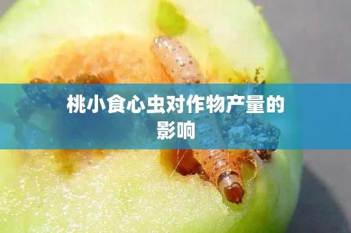 桃小食心虫对作物产量的影响