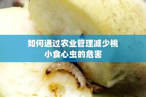如何通过农业管理减少桃小食心虫的危害
