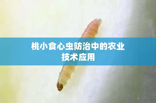 桃小食心虫防治中的农业技术应用