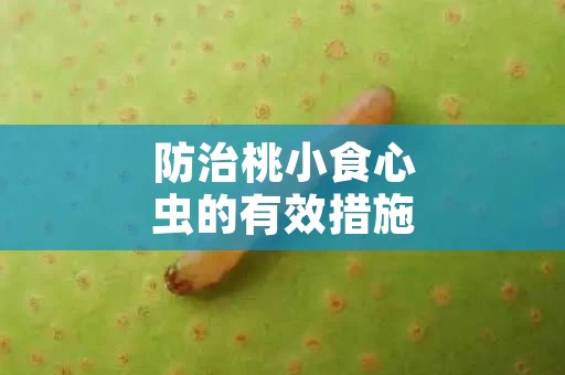防治桃小食心虫的有效措施