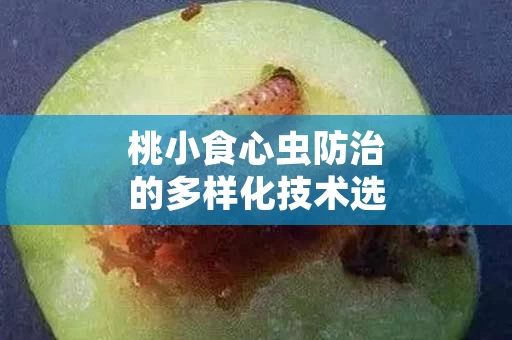 桃小食心虫防治的多样化技术选择