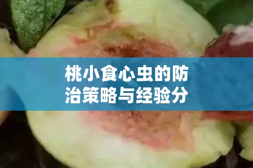 桃小食心虫的防治策略与经验分享