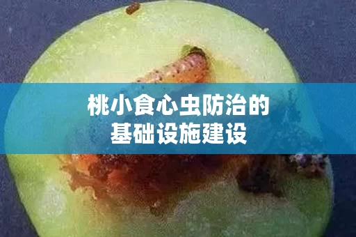 桃小食心虫防治的基础设施建设