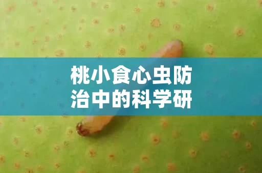 桃小食心虫防治中的科学研究方向